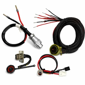 Custom Automotive Wiring Harness Waterproof Cable Assembly with Multi Pin Copper Wire Connector for Vehicle Electrical System