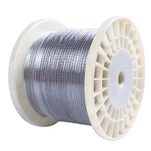 Hot Dipped Galvanized Steel Wire Rope Price High Carbon Steel Elevator Rope Winch Galvanized Steel Cable 1/2 Inch
