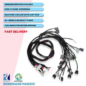 Automotive Wiring Harness Customized Drawings Original Professional Terminals Engine Control Harnesses