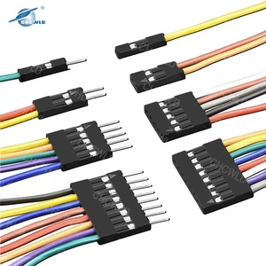 Custom 2.54mm Pitch Dupont Cable Connector 1 2 3 4 5 6 8 10 Pin Jumper Electric Wire Harness Assembly