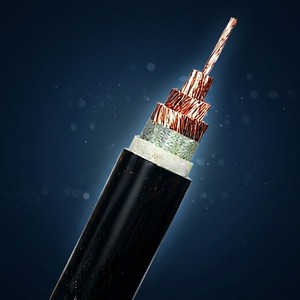 ZC-FDEHP-55 Cat.C Flame Retardant LSZH Shielded Control Cable -55℃ 120Ω Anti-Torsion Wire for Extreme Cold Wind Turbine Encoder