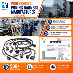 HZEMS Custom Electric Motorcycle Wiring Harness Assembly Complete Vehicle Cable Loom Dongguan Manufacturing Factory