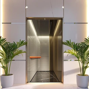 Langger 3 Floors Small Shaftless Residential Traction Home Elevator Flat Cable Elevator With Beautiful Colour Choices