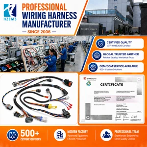 HZEMS Custom Wire Harness Complete Wiring Harnesses Wholesale Products Automotive Wire Harness Dongguan Factory Supplier
