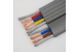 Customized 2Core 3Core Copper Wire Elevator Cable with PVC Insulation for Construction Traveling Elevator