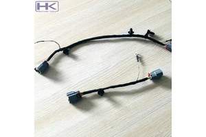 Molex Wiring Harness