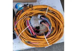 Dongju the 4P-9537 Harness Assembly Is Suitable for TRUCK Engines 3176B C-10 C-12 MARINE POWERTRAIN C12 New Spot Popular