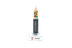 Irradiated XLPE Insulated Copper Low-Smoke Free-Halogen Flame Retardant Fire Resistant Polyolefin Sheathed Control Cables