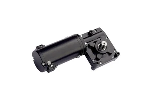 73ZY-102WJ 150W/180W DC Worm Gear Motor for Golf Cart Electric Bicycle Permanent Magnet Construction Brush Commutation 120N.m