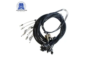 Factory Direct Accelerated Driven Control Harness 1108150-TY200 for Dongfeng Truck Parts M