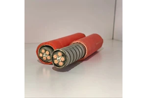 BTGY Stainless Steel Sheathed Fireproof Cable 4 Core 5 Core 0.6/KV Elevator Use Metro Use 1000 Degrees High Temperature