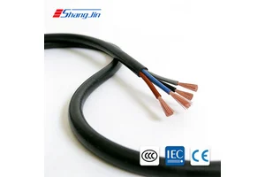 Factory Direct RVV Copper PVC Flexible Lighting Connection Power Control Cable Low Voltage Household Building Industrial