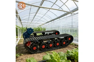 Flexible Size Track Chassis Transmission Assembly For Mini Crawler Excavator Dozer Agricultural Machinery Factory