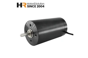 Ball Bearing Low Noise 36MM 3662 DC 25V Powerful Torque Double Shaft Motor Side Cable Exit with Carbon Brushes for Meat Slicer