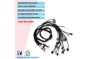 Automotive Wiring Harness Customized Drawings Original Professional Terminals Engine Control Harnesses