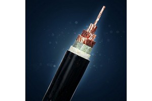 ZC-FDEHP-55 Cat.C Flame Retardant LSZH Shielded Control Cable -55℃ 120Ω Anti-Torsion Wire for Extreme Cold Wind Turbine Encoder