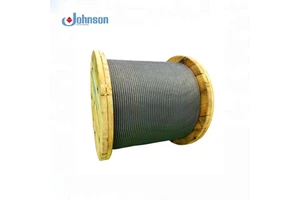 Modern Passenger Elevator Stainless Steel Wire Rope for Hotel & Home/Villa Lift