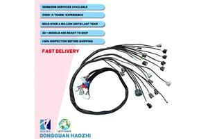 Tucked Engine Harness Replace CNCH-OBD2-1 CNCHOBD21 Fit for Honda Civic Integra B16 B18 D16 OBD2 Budget B-Series Engine