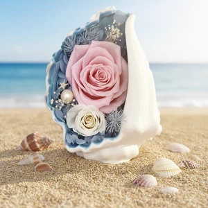Preserved Flower Conch Ornament Cross-border TK Valentine's Day Creative Birthday Gift Preserved Flower Gift Box