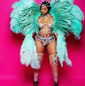 Miami Crazy Carnival Peacook Costume Customized Carnival Costume