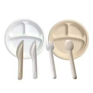 Custom Thanksgiving Elegant Thailand Ningbo Disposables Paper Knife Fork Dinner Plates Sets Dinnerware Tableware