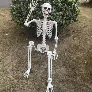 Cheap Standing Outdoor Indoor 5.4Ft 5 Ft 160cm Human Hold Postures Halloween Skeletons For Sale