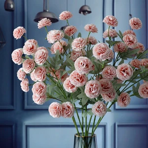 Mother's Day Gift Silk Eternal Flower Multicolor Single Stem Carnation for Mother and Graduation
