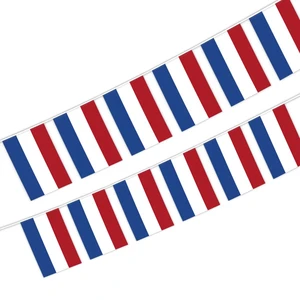Custom France String Flag 14x21cm 20 Pennants Wholesale Bunting Banner 650cm Bastille Day Decor Waterproof Outdoor Streamer
