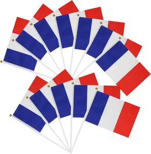 Wholesale France National Hand Flag 14x21cm Mini French Waving Flags on Stick for Bastille Day and Sporting Events