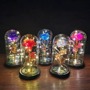 Valentine's Day Mother's Day Wedding Gifts Forever Rose Galaxy in Glass With Led Valentine Gifts Rose