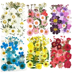 Eco-Friendly DIY Art Crafts Graduation Wedding Halloween Valentine's Day Mother's Day Christmas Easter Dried Pressed Flower Kits