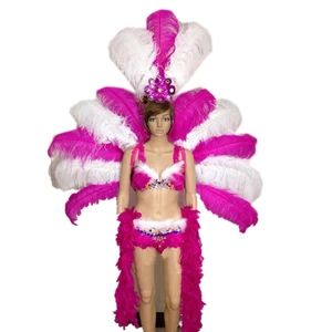 Hot Samba Costumes/carnival Costume for Sale