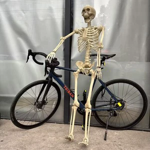 Halloween Skeleton Simulation Human Skeleton Ghost House Party Decoration Props Horror Skeleton Human Anatomy Science Teaching