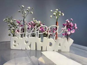 Color Customizable Plastic Personalized Fashionable Birthday New Year Wedding Chinese New Year Thanksgiving Party Decor