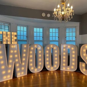 Customized Led 3D Giant Bulb 2ft 4ft 5ft BRA Marquee Letter Lights Stand For Birthday Wedding Supplies