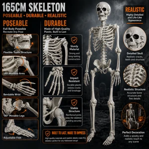 Halloween Skeleton 5ft/165cm Life Size Movable Realistic Human Skeleton Props For Haunted House Home Decor Halloween Events