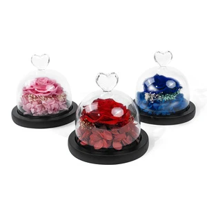 2026 Mother's Day Gift Eternal Flower Creative Gift Christmas Birthday Proposal Companion Gift
