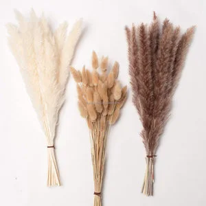 Pampas Grass Dry Flower Wedding Bouquet Long Lasting Yunnan Home Decor Valentine's Day Mother's Day Gift OEM Packing China