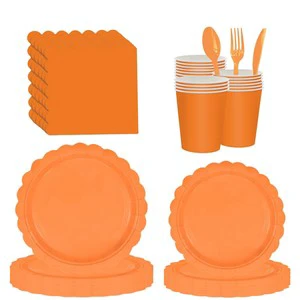Modern Customized Colors Disposable Eco-friendly Children's Birthday Lace Party Tableware Set