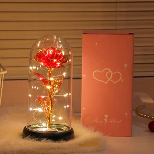 Mothers Day Flowers Gifts for Mom From Daughter Son Preserved Forever Glass Light up Rose Gifts for Wife Women Sister Girlfriend