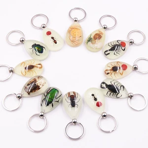 Middle Size Luminous Real Insects Scorpion In Resin Keychains