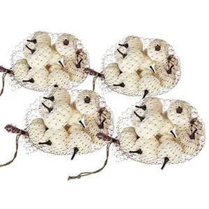 Velvety Pumpkin Set Of 4 In Mesh Bag White For Fall Harvest Festival Thanksgiving Decorations