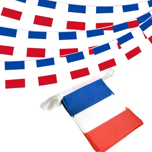Wholesale French Small Mini Flag Pennants Banner France String Flag for Patriotic Events 14th of July French Bastille Day Decora