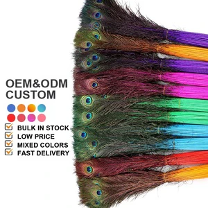 Beautiful Indian Long Peacock Feathers Dyed 70-80cm For Carnival Performance Costumes