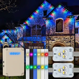 Led Lights Christmas Permanent Holiday Outdoor 12v 30mm Ip68 Pixel Point Light Led Permanent Christmas Lights 48v