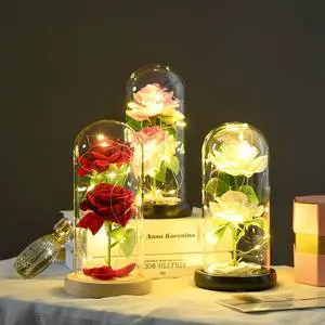 Valentine's Day Gifts Rose LED Night Light Gift for for Wife, Birthday Gifts