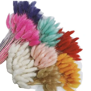 Wholesale 50Pcs/bunch Dried Lagurus Ovatus Rabbit Tails Grass Soft Long Lasting Home Decor for Easter Valentine's Day Christmas