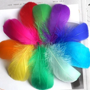 Decorate Feathers Diy Floating Dyeing Goose Feather Dream Catcher Wave Ball Gift Box Filling Decorative Materials Wholesale