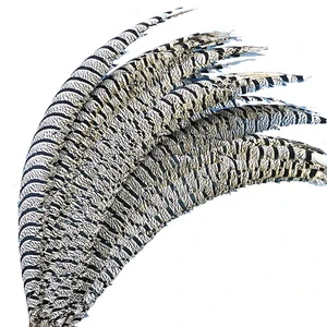 80-90cm Wholesale High Quality Hot Sale Carnival Natural Lady Amherst Pheasant Side Tail Feathers