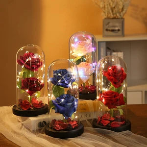 Factory Direct Sale Romantic Valentine's Day Gift Eternal Flowers Rose in Transparent Dome with Led Light for Women